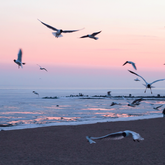 39692-thegem-featured-post-slide-fullwidth